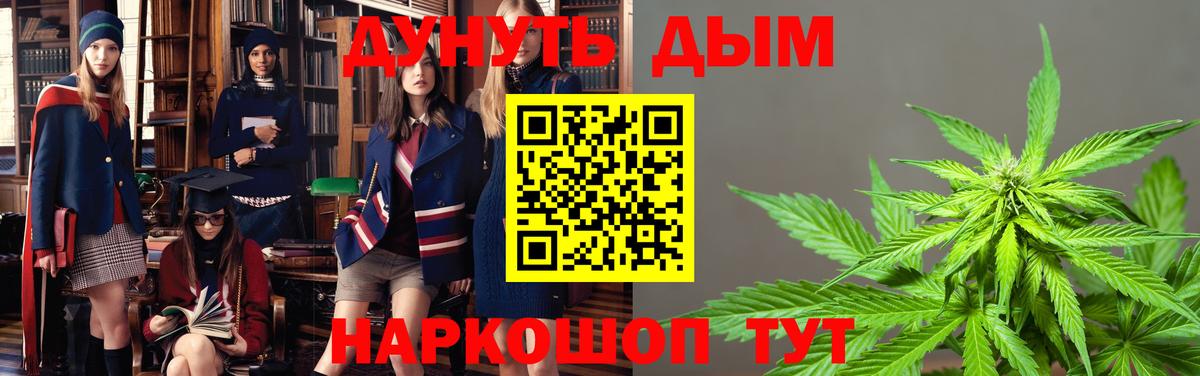Прохладный  Каннабис гибрид  МАРИХУАНА ГИДРОПОН  Вход с VPN  Каннабис семена 